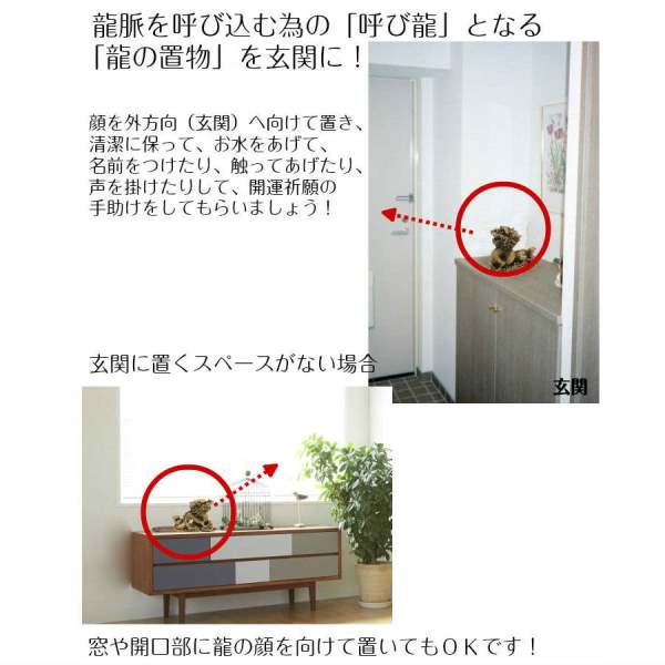 種類が選べる 樹脂製(ミニ)金龍