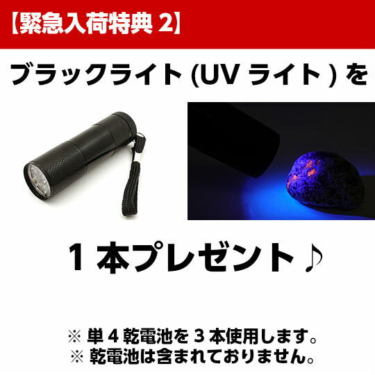 ユーパーライト 110g UVライト+ギャランティーカード付き 現物販売