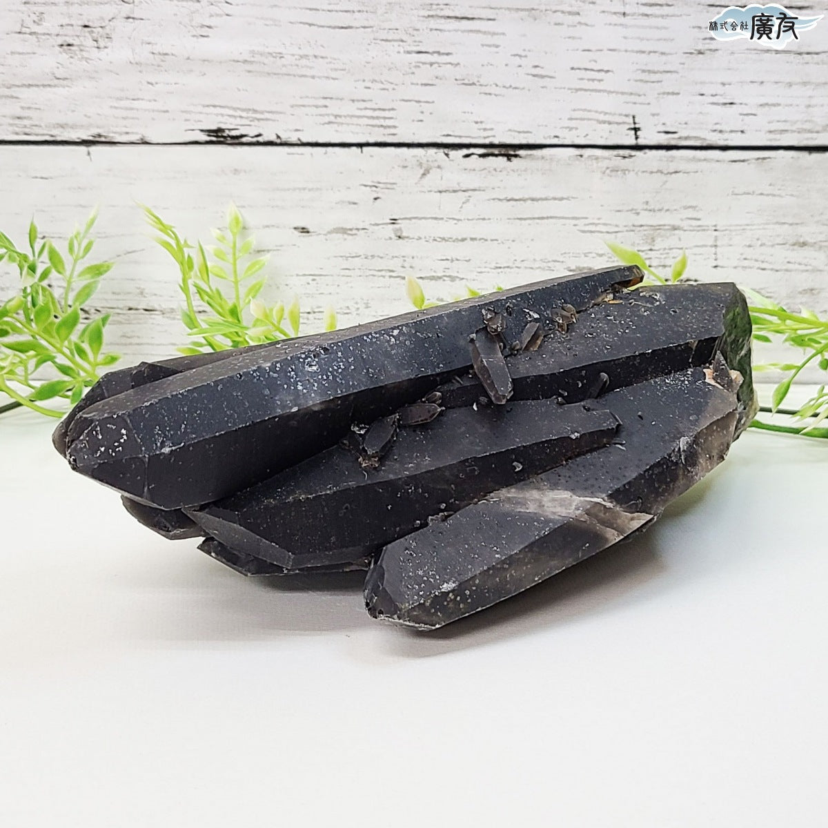 モリオン 黒水晶 原石1385g 現物販売【新商品】 – 株式会社廣友