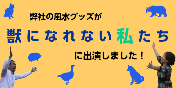 獣になれなり私たち