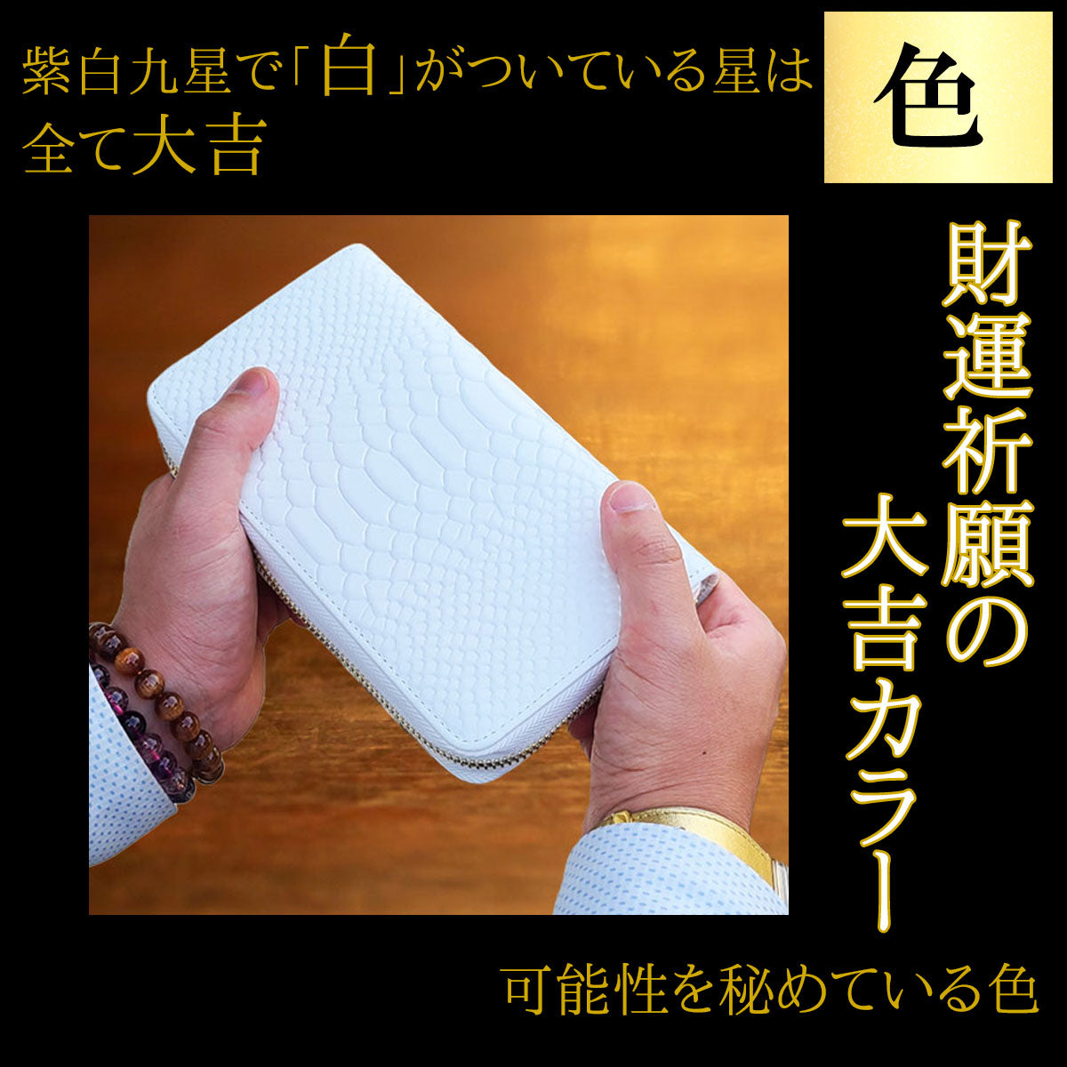 白蛇財布