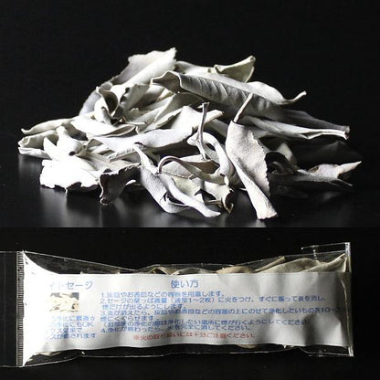 浄化用ホワイトセージ（リーフ）10g