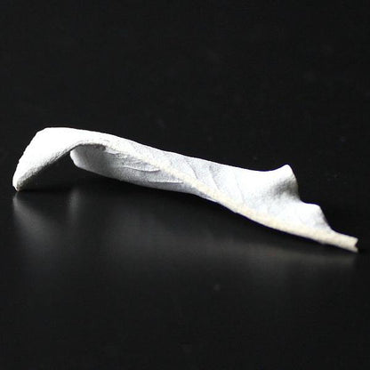 浄化用ホワイトセージ（リーフ）10g