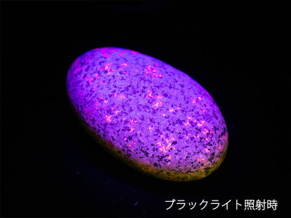 ユーパーライト 110g UVライト+ギャランティーカード付き 現物販売