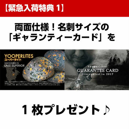 ユーパーライト 110g UVライト+ギャランティーカード付き 現物販売