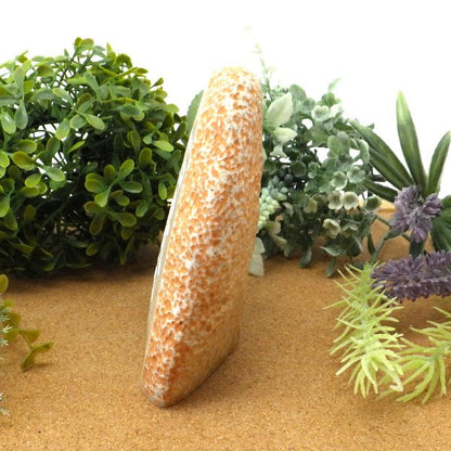 石敢當(大)(茶)