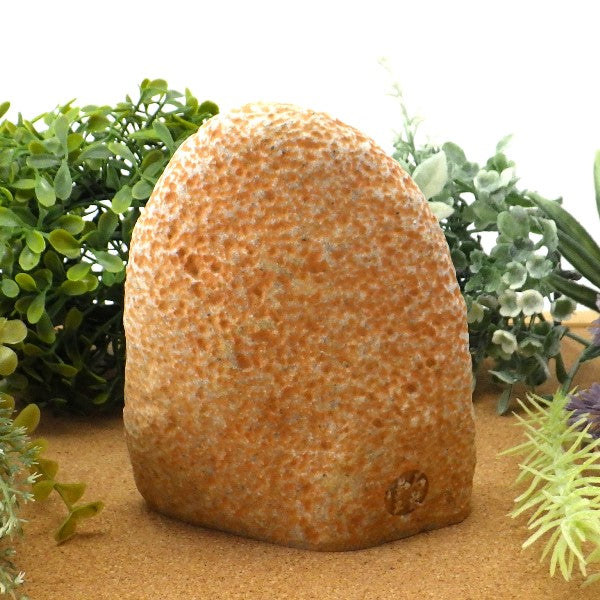 石敢當(大)(茶)