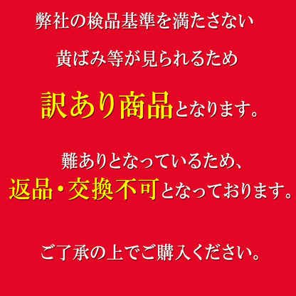 【訳あり商品・白練カラーのみ】風水ミニ財布 三つ折り財布 本革(白練) 護符付
