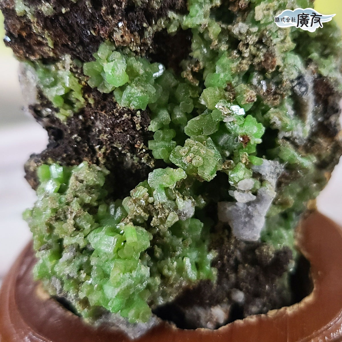 ペリードット原石2.3kg(購入者特典有り) ペリドット原石260g台付 現物販売(廣友)【新商品】 – 株式会社廣友