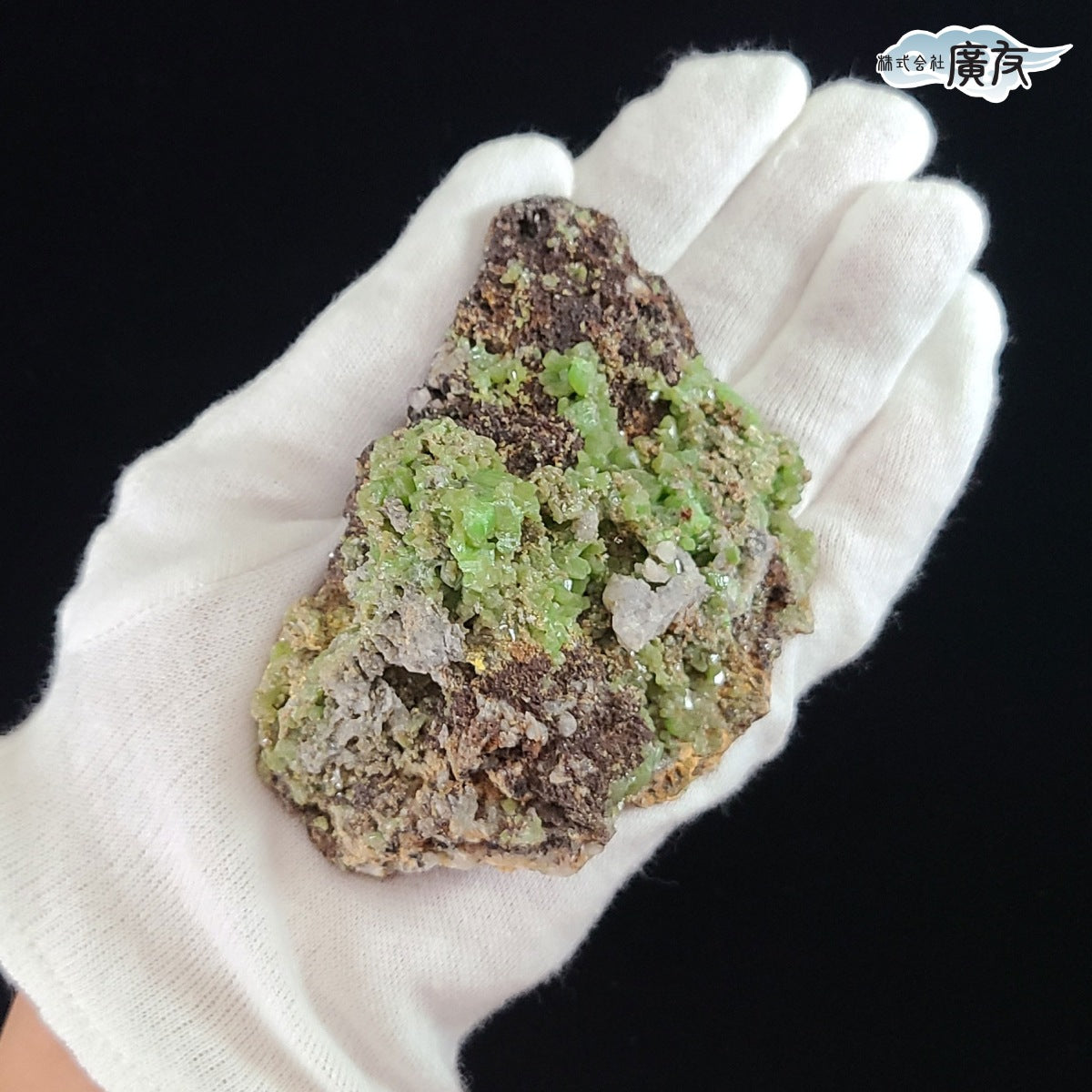 ペリードット原石2.3kg(購入者特典有り) ペリドット原石260g台付 現物販売(廣友)【新商品】 – 株式会社廣