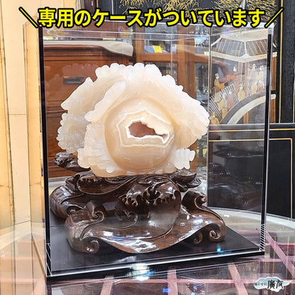 トレジャーアゲート集宝龍 現物販売 (廣友)【新商品】