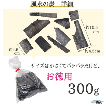訳ありお徳用300g 殺気の方位に置き 空間を清める 風水の炭 返品交換不可●炭300g×1個●リーフ型容器×1個【新商品】