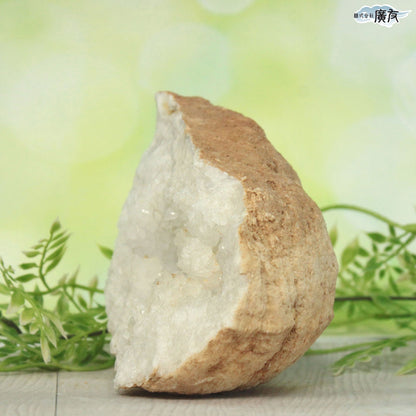 ホワイトアゲート （メノウ） 原石 ジオード1320g 現物販売【新商品】