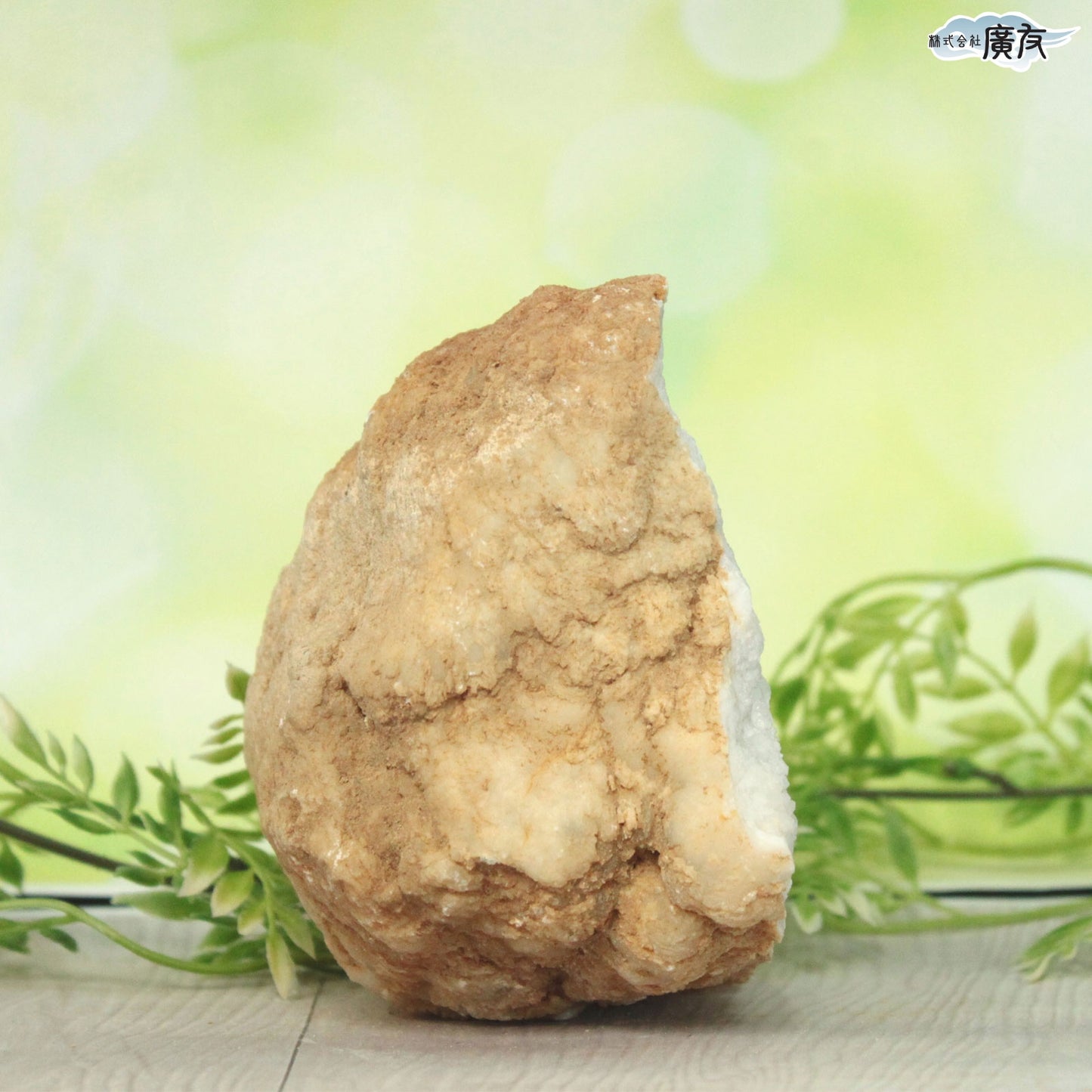 ホワイトアゲート （メノウ） 原石 ジオード1320g 現物販売【新商品】