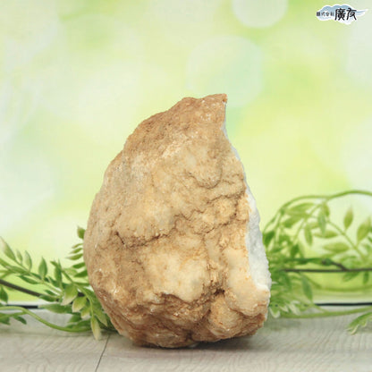 ホワイトアゲート （メノウ） 原石 ジオード1320g 現物販売【新商品】