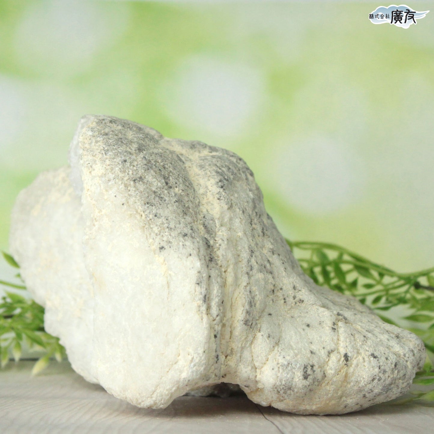 ホワイトアゲート （メノウ） 原石 ジオード2700g 現物販売【新商品】