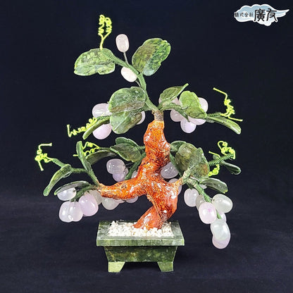 風水仙葡萄ブドウ【新商品】