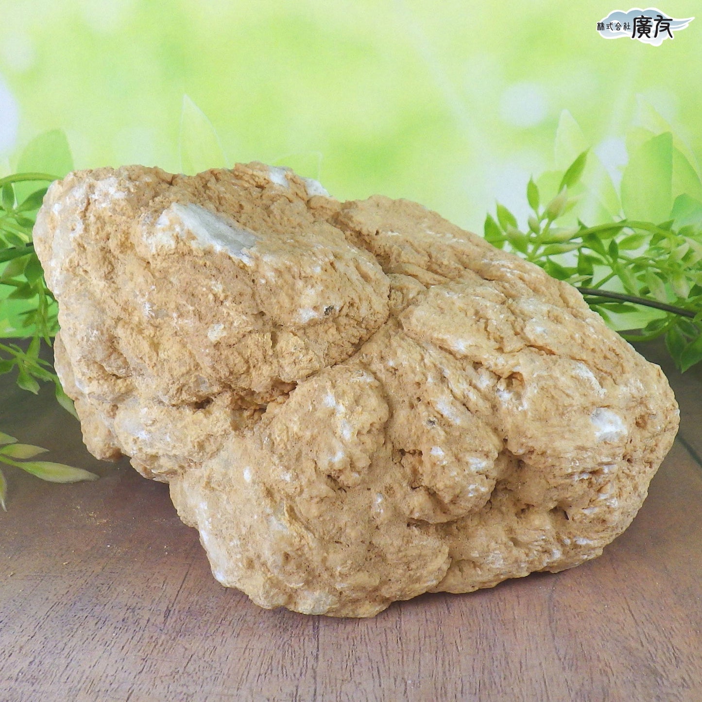 ホワイトアゲート （メノウ） 原石 ジオード1249g 現物販売【新商品】