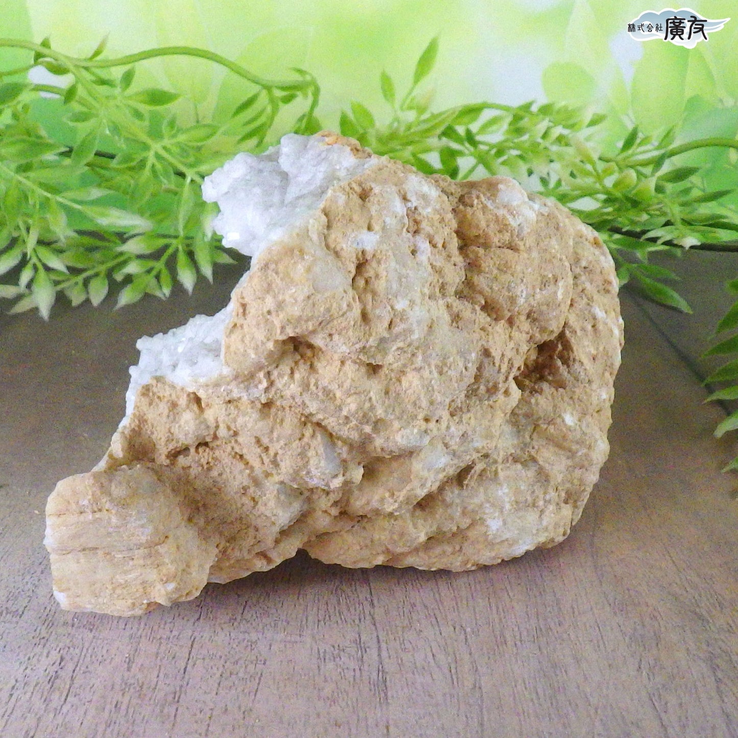 ホワイトアゲート （メノウ） 原石 ジオード1249g 現物販売【新商品】