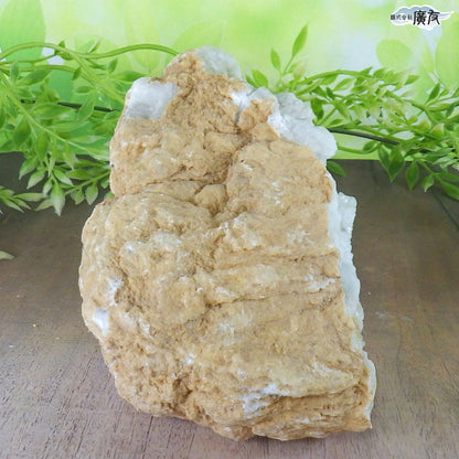 ホワイトアゲート （メノウ） 原石 ジオード1249g 現物販売【新商品】