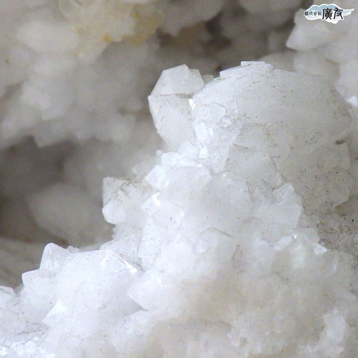 ホワイトアゲート （メノウ） 原石 ジオード1249g 現物販売【新商品】