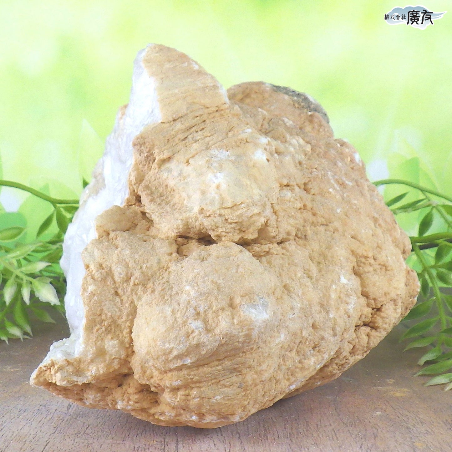 ホワイトアゲート （メノウ） 原石 ジオード1651g 現物販売【新商品】