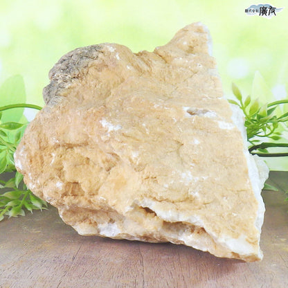 ホワイトアゲート （メノウ） 原石 ジオード1651g 現物販売【新商品】