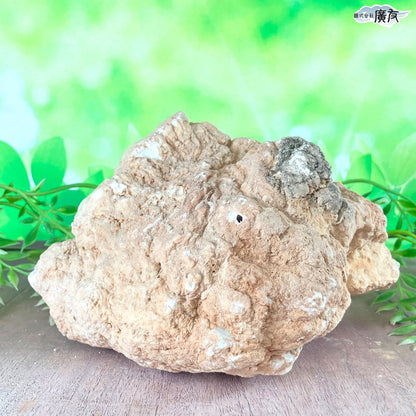 ホワイトアゲート （メノウ） 原石 ジオード1651g 現物販売【新商品】