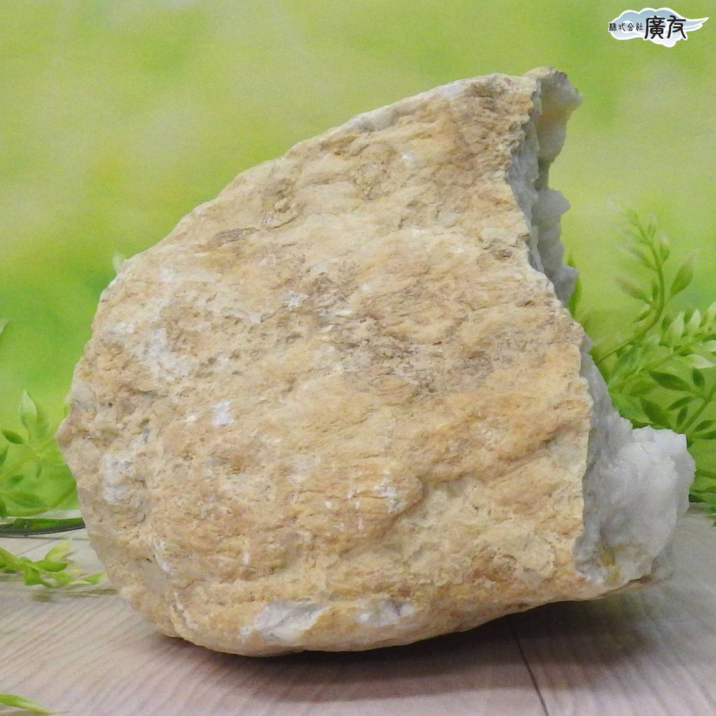 ホワイトアゲート （メノウ） 原石 ジオード2200g 現物販売【新商品】