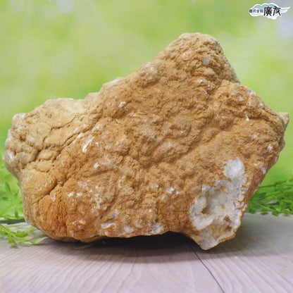 ホワイトアゲート （メノウ） 原石 ジオード2300g 現物販売【新商品】