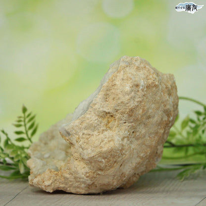 ホワイトアゲート （メノウ） 原石 ジオード1087g 現物販売【新商品】