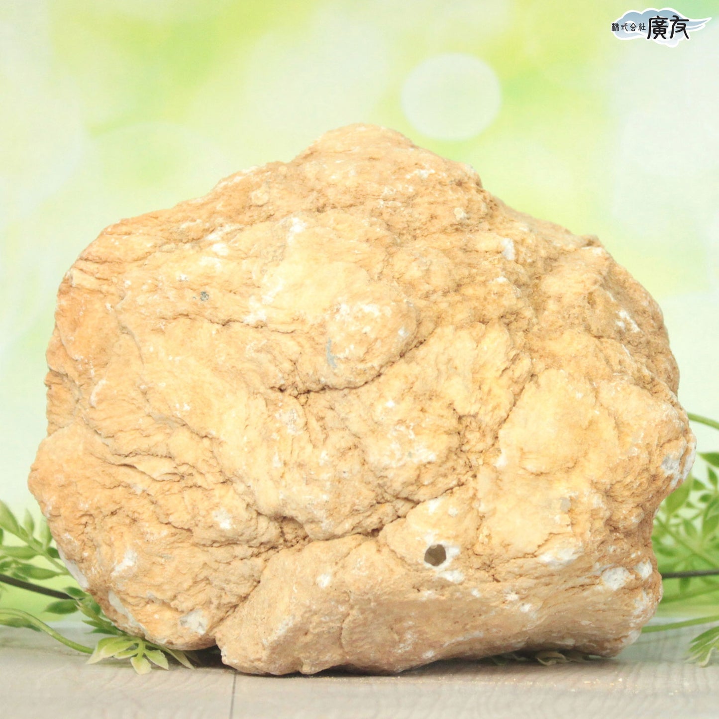 ホワイトアゲート （メノウ） 原石 ジオード2750g 現物販売【新商品】