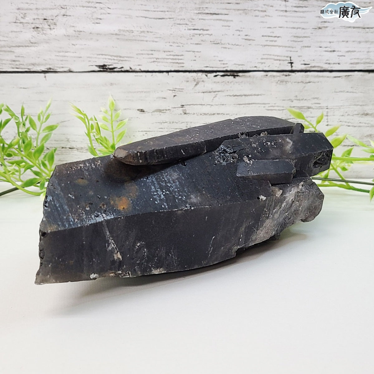 モリオン 黒水晶 原石1385g 現物販売【新商品】