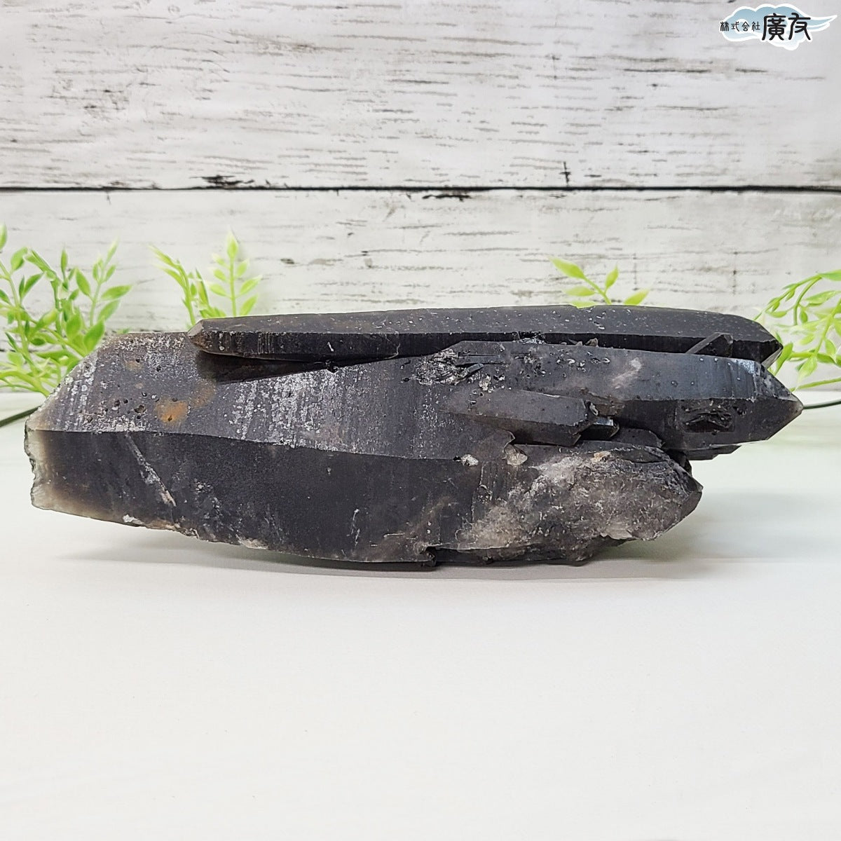 モリオン 黒水晶 原石1385g 現物販売【新商品】