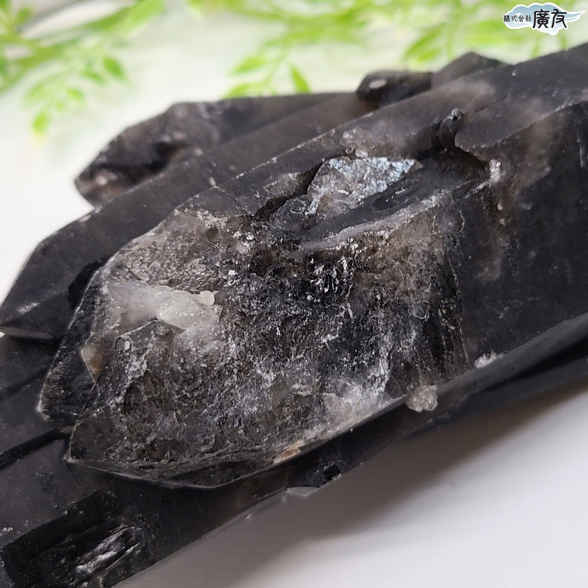 モリオン 黒水晶 原石1385g 現物販売【新商品】