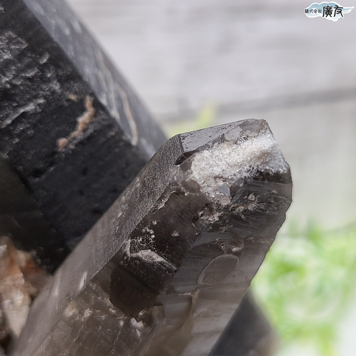 モリオン 黒水晶 原石910g 台付き 現物販売【新商品】