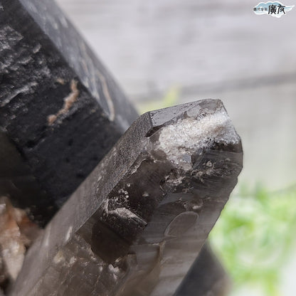 モリオン 黒水晶 原石910g 台付き 現物販売【新商品】