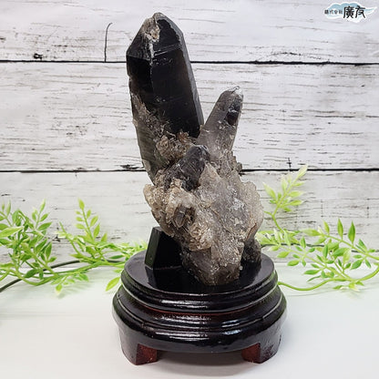 モリオン 黒水晶 原石910g 台付き 現物販売【新商品】