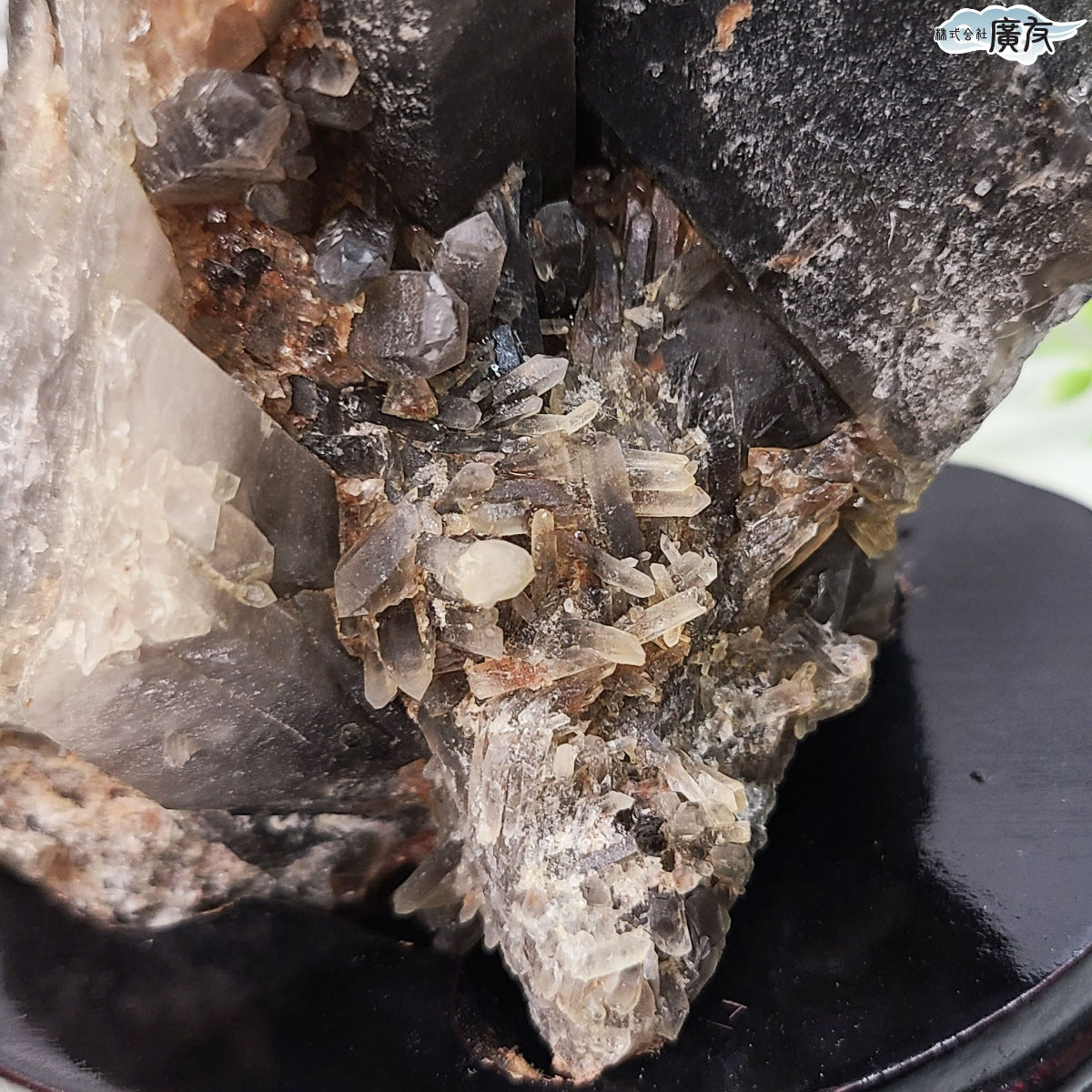 モリオン 黒水晶 原石910g 台付き 現物販売【新商品】