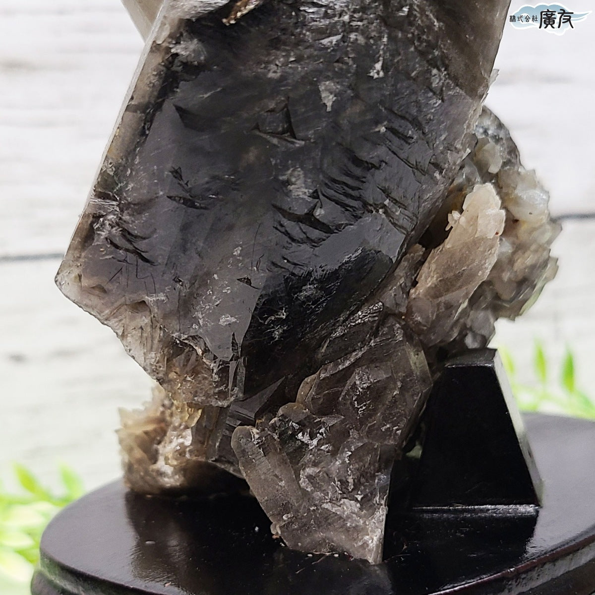 モリオン 黒水晶 原石910g 台付き 現物販売【新商品】