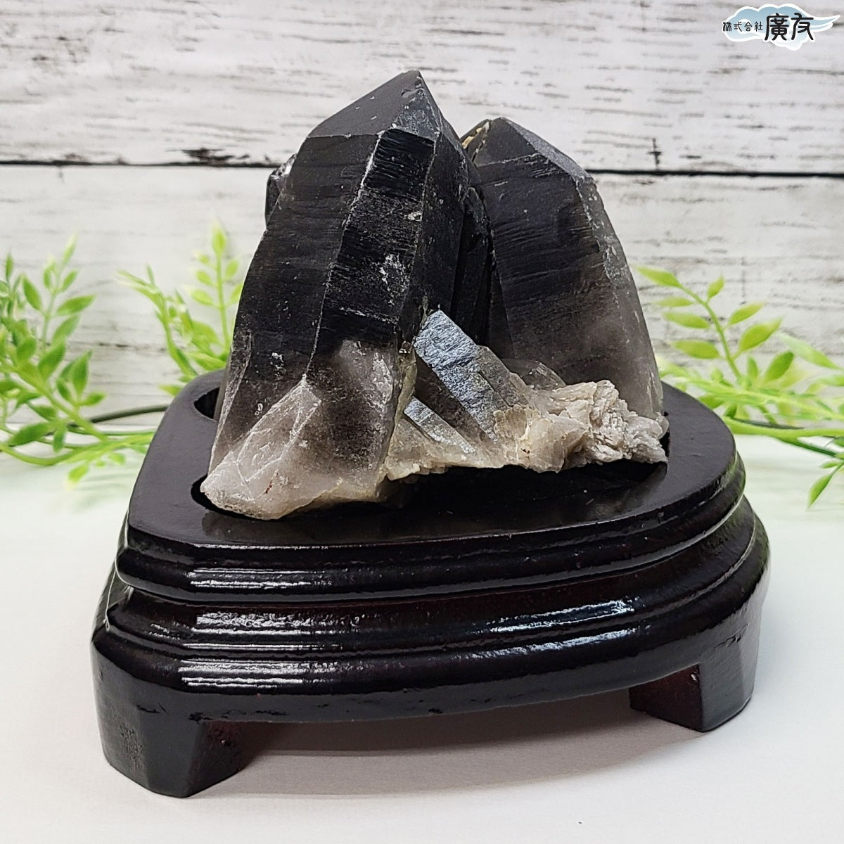 モリオン 黒水晶 原石919g 台付き 現物販売【新商品】