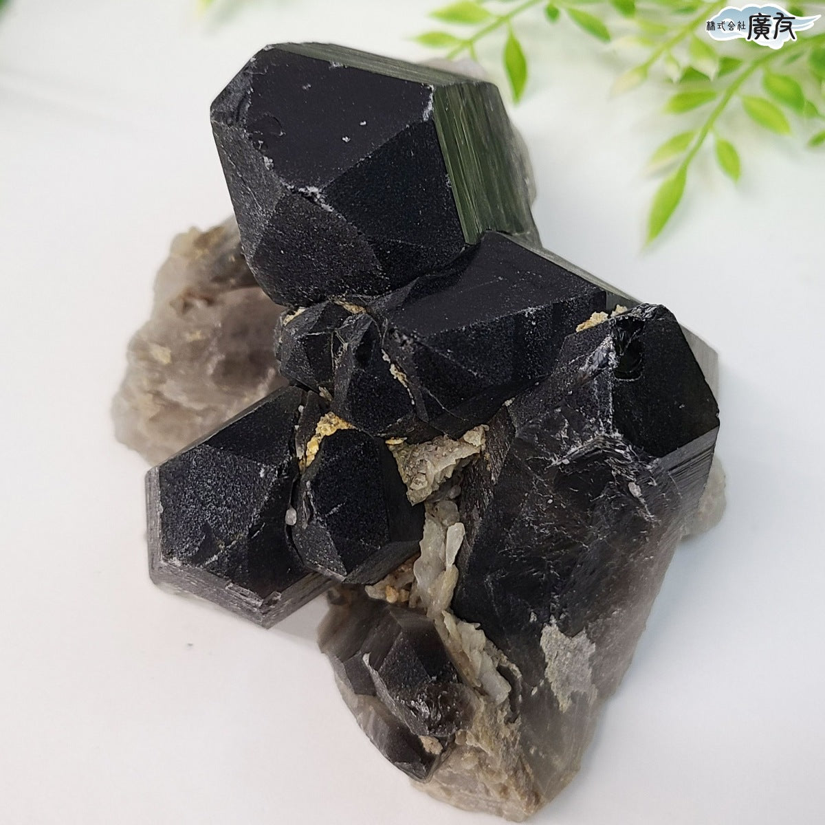 モリオン 黒水晶 原石919g 台付き 現物販売【新商品】