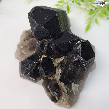 モリオン 黒水晶 原石919g 台付き 現物販売【新商品】