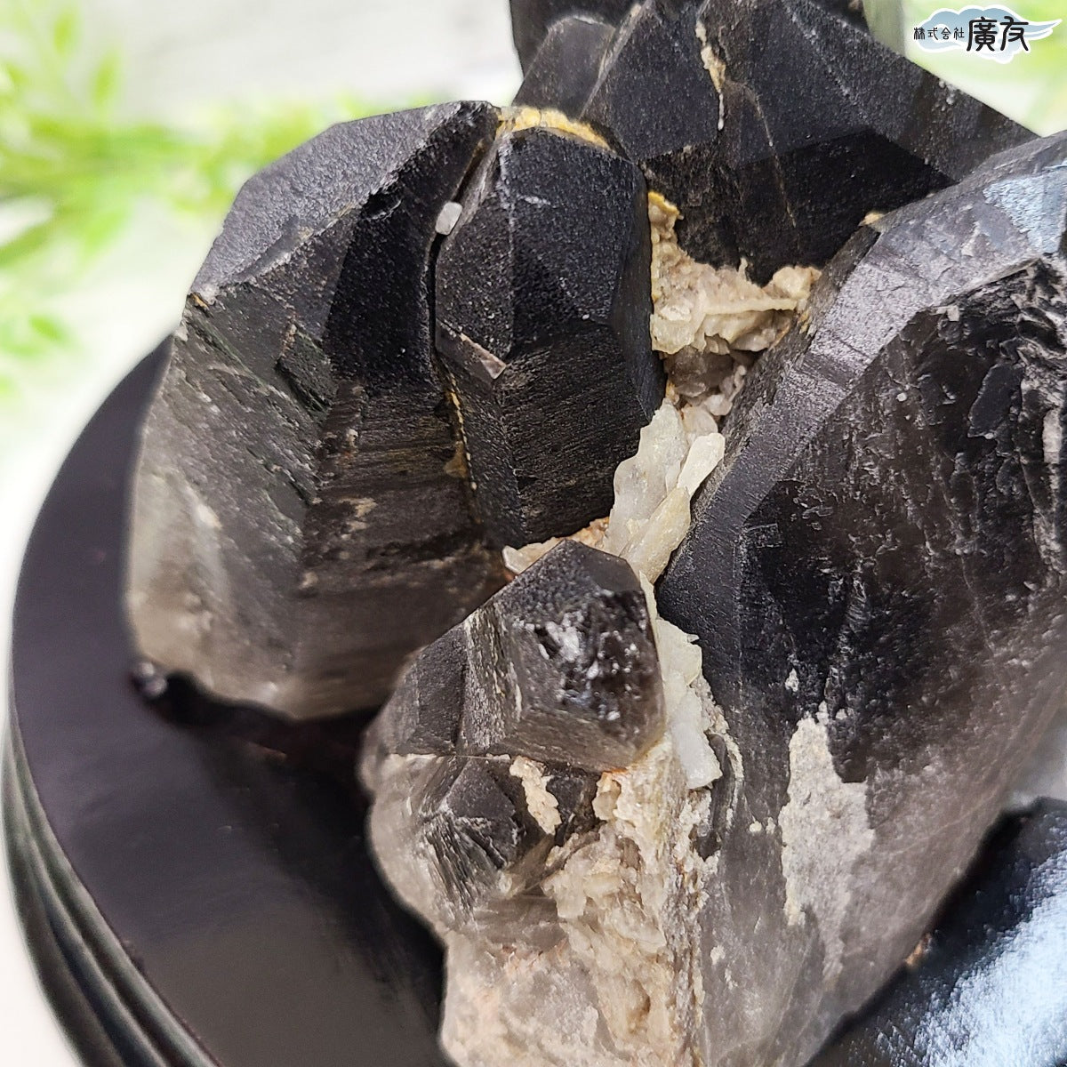 モリオン 黒水晶 原石919g 台付き 現物販売【新商品】