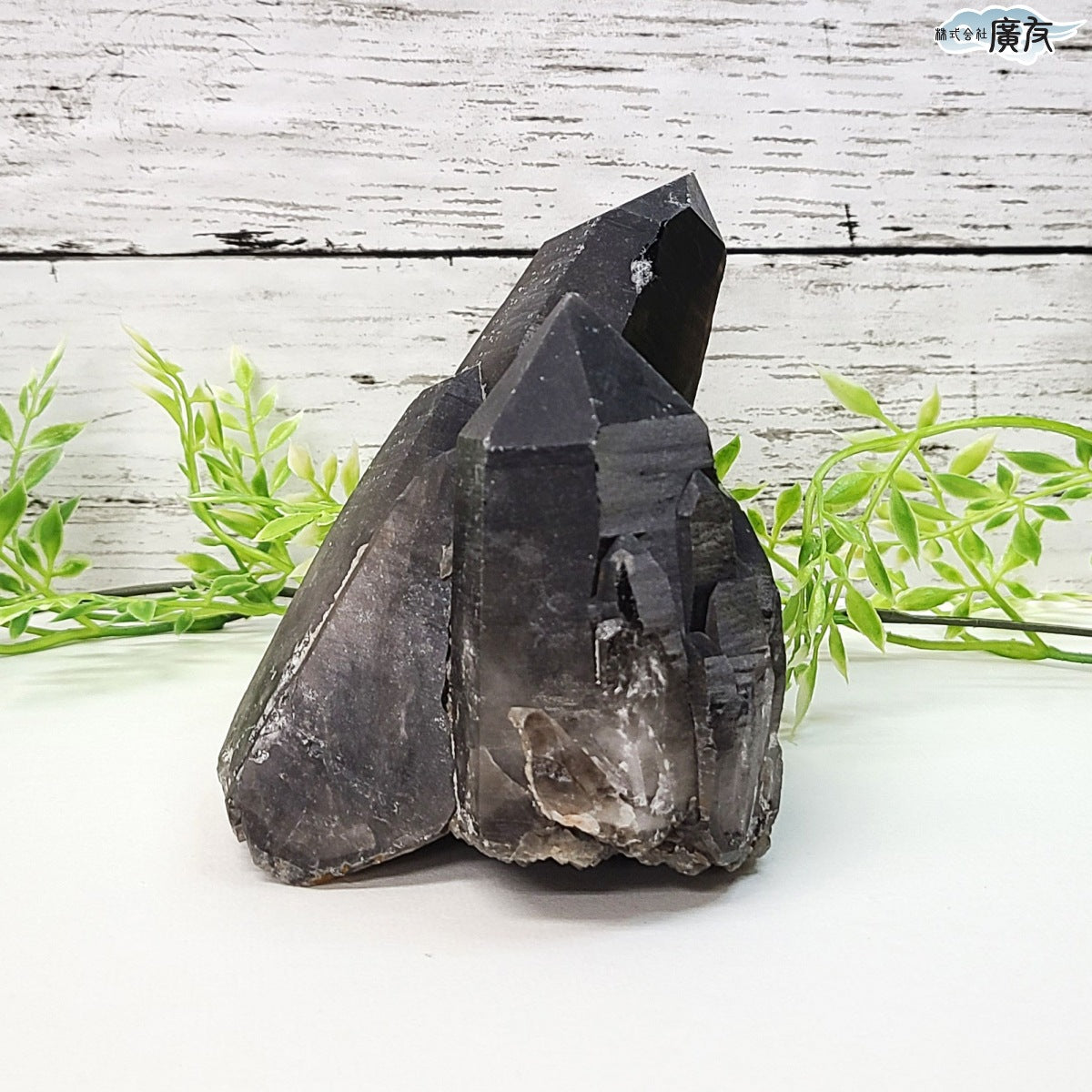 モリオン 黒水晶 原石975g 現物販売【新商品】