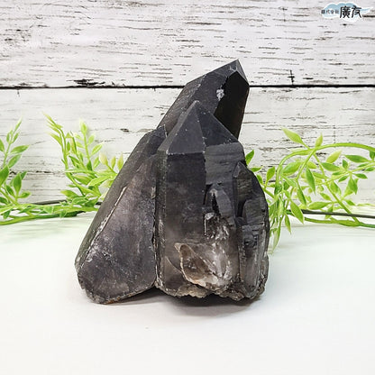 モリオン 黒水晶 原石975g 現物販売【新商品】