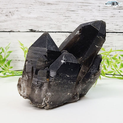 モリオン 黒水晶 原石975g 現物販売【新商品】