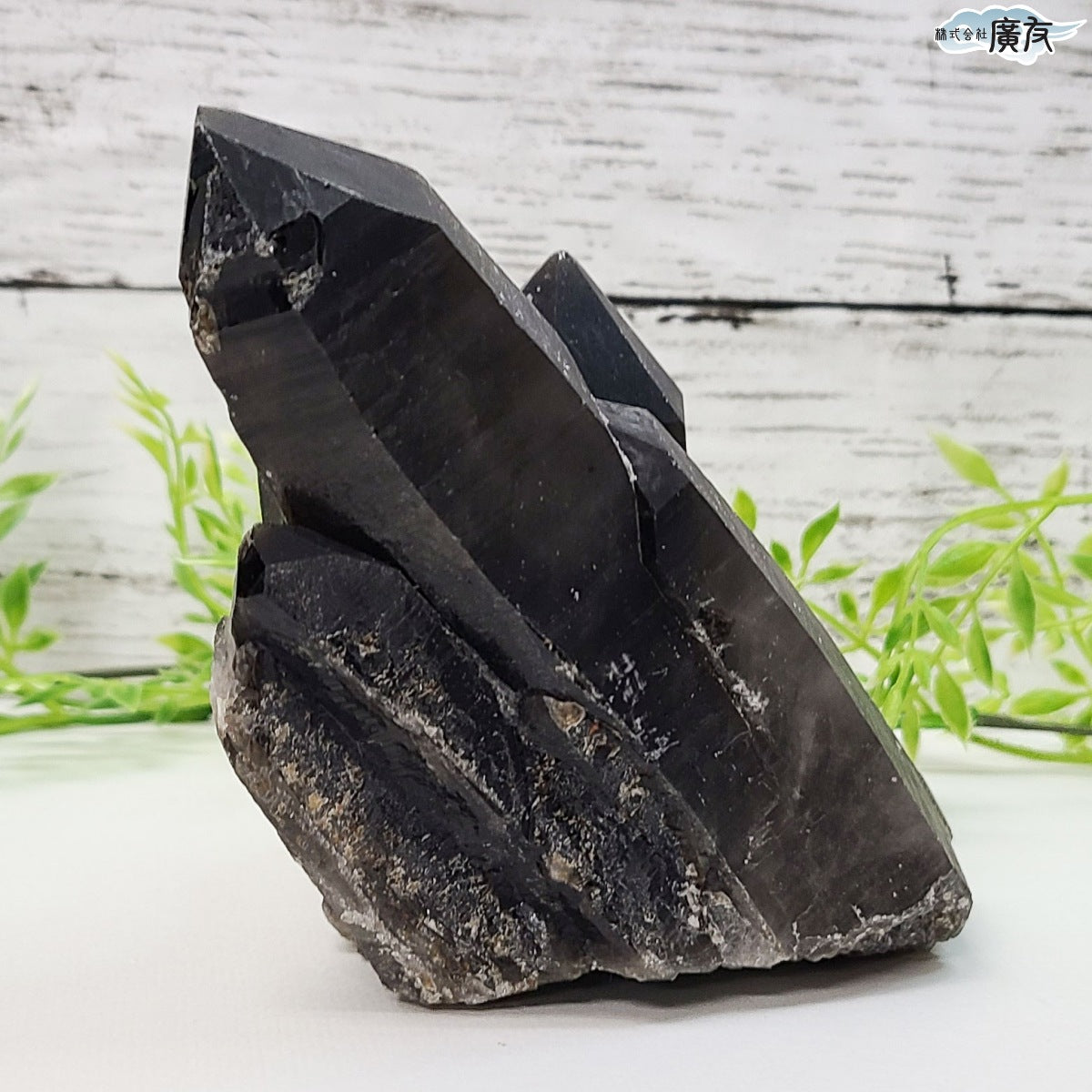 モリオン 黒水晶 原石975g 現物販売【新商品】