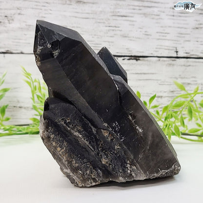 モリオン 黒水晶 原石975g 現物販売【新商品】