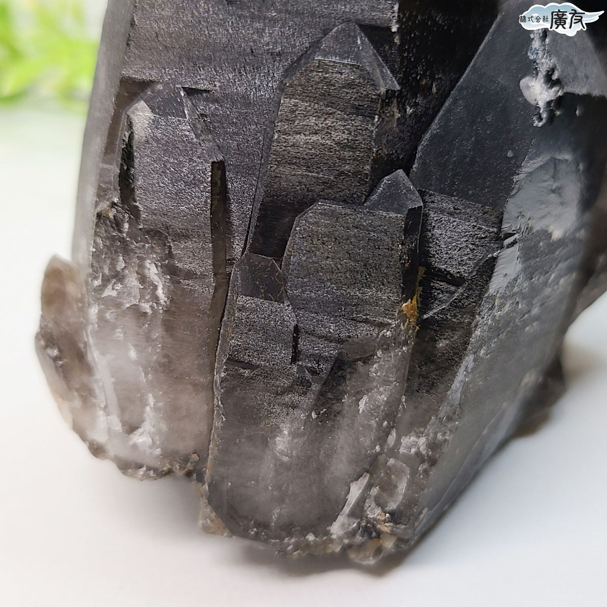 モリオン 黒水晶 原石975g 現物販売【新商品】